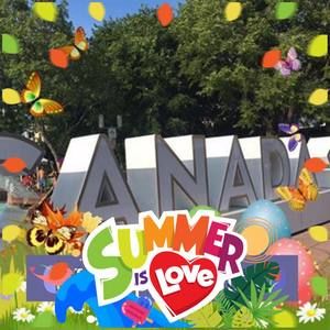 Meet your Posher, Rhisa